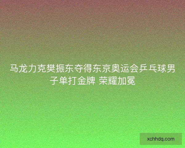 马龙力克樊振东夺得东京奥运会乒乓球男子单打金牌 荣耀加冕