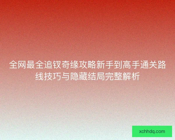 全网最全追钗奇缘攻略新手到高手通关路线技巧与隐藏结局完整解析